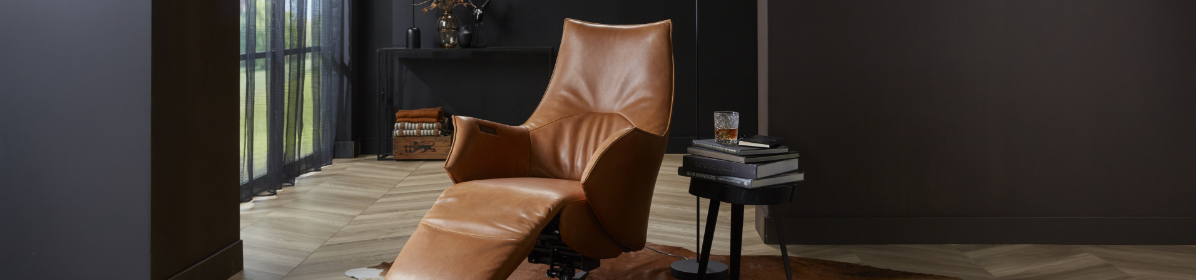 Cognac fauteuils Cognac fauteuils