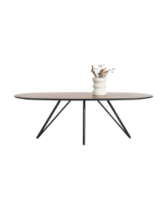 Eetkamertafel Torano 210