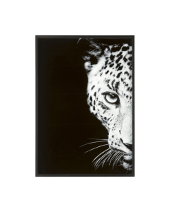 Cheetah fotoschilderij